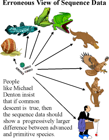 Erroneous Views of Sequence Data IMG